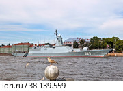 Сидящая чайка на фоне военного корабля -корвета «Меркурий» на параде в День Военно-морского флота. Санкт-Петербург (2022 год). Редакционное фото, фотограф Сергей Афанасьев / Фотобанк Лори
