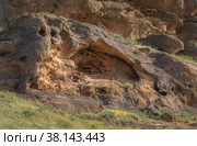 Singing rocks of the Bolshoe Bogdo mountain Astrakhan region, Bogdinsky-Baskunchaksky Reserve. Стоковое фото, фотограф Игорь Кляхин / Фотобанк Лори