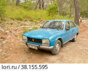 Автомобиль Peugeot 504 стоит в лесу (2022 год). Редакционное фото, фотограф Сапрыгин Сергей / Фотобанк Лори