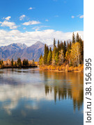 Autumn in highlands. View from river bank to mountain range and yellowed forest on bank of calm river. Baikal region, Buryatia, Eastern Sayan Mountains, Irkut River, Tunka valley, Nugan village. Стоковое фото, фотограф Виктория Катьянова / Фотобанк Лори