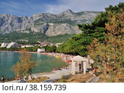 The beach in Makarska is surrounded by pine trees, with a surprisingly long needles. Стоковое фото, фотограф Михаил Аккуратoв / Фотобанк Лори