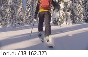 Ski tour in Siberia. A man skiing in a snowy forest. Стоковое видео, видеограф Chudakov_Ivan / Фотобанк Лори