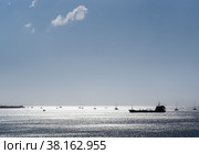 Seascape, black silhouettes of ships and yachts in the sea, the sea is silvered. Стоковое фото, фотограф Татьяна Лобанова / Фотобанк Лори