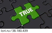 Fake and true. The words on the puzzles. Стоковая анимация, аниматор WalDeMarus / Фотобанк Лори