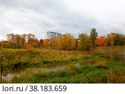 Осень на Клязьме. Стоковое фото, фотограф Галина Сычева / Фотобанк Лори