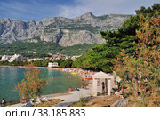The beach in Makarska is surrounded by pine trees, with a surprisingly long needles. Стоковое фото, фотограф Михаил Аккуратoв / Фотобанк Лори