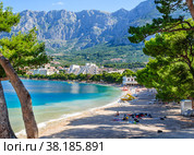 A beautiful view of Makarska beach through the pines. Стоковое фото, фотограф Михаил Аккуратoв / Фотобанк Лори