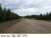 Проселочная дорога из песка и глины уходящая вдаль среди хвойного леса. Стоковое фото, фотограф Лозовая Людмила / Фотобанк Лори
