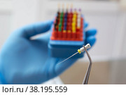 Dental endodontic tools, dental protapers for treatment root canal tooth. Стоковое фото, фотограф Екатерина Шаповалова / Фотобанк Лори