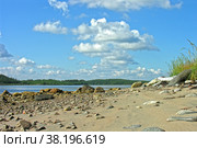 Красивые облака над побережьем Белого моря. Остров Горелый, Керетская губа, Кандалакшкий залив, Карелия. Солнечный день в августе. Стоковое фото, фотограф Сергей Рыбин / Фотобанк Лори