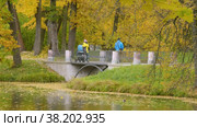 Александровский парк (Царское Село). Мост через канал. Осенние клёны в парке. Alexander Park (Tsarskoye Selo). Bridge over the canal. Autumn maple in the park. (2021 год). Редакционное видео, видеограф Евгений Романов / Фотобанк Лори
