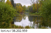 Александровский парк (Царское Село). Ланский пруд. Alexander Park (Tsarskoye Selo). Lansky Pond. (2021 год). Редакционное видео, видеограф Евгений Романов / Фотобанк Лори