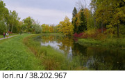 Александровский парк (Царское Село). Ланский пруд. Alexander Park (Tsarskoye Selo). Lansky Pond. (2021 год). Редакционное видео, видеограф Евгений Романов / Фотобанк Лори