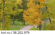 Александровский парк (Царское Село). Вид с павильона Шапель. Alexander Park (Tsarskoye Selo). View from the Chapelle Pavilion. (2021 год). Редакционное видео, видеограф Евгений Романов / Фотобанк Лори