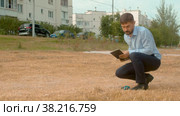 Incorrectly planted lawn. The grass dried up. Check of planting in the city park. Стоковое видео, видеограф Chudakov_Ivan / Фотобанк Лори