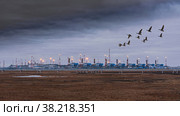 Infrastructure of a complex installation for the preparation of natural gas for transportation through a gas pipeline. The Arctic zone of Siberia. Gloomy autumn sky. In the foreground is the polar tundra. Collage of a flock of wild geese. Стоковое фото, фотограф Владимир Ендовицкий / Фотобанк Лори
