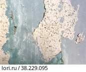 Empty texture of old wall. Distressed painted wall surface. Rough wall. Grunge grey background. Shabby facade of building with damaged plaster. Abandoned Grange cracks. Abstract web Banner for logo. Стоковое фото, фотограф Aleksandr Golubev / Фотобанк Лори