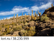 Uyuni salt marsh in Bolivia beautiful views sunsets and sunrises (2015 год). Стоковое фото, фотограф Aleksandr Golubev / Фотобанк Лори