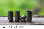 Pistol sleeves. Стоковое фото, фотограф Константин Шашков / Фотобанк Лори