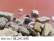 Aigues-Mortes, Salins du Midi. A salt farm with pink salty water. Стоковое фото, фотограф Irina Kuchugurina/Gaudy / Фотобанк Лори