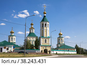 Макаровский Иоанно-Богословский монастырь в Мордовии (2014 год). Редакционное фото, фотограф Солодовникова Елена / Фотобанк Лори