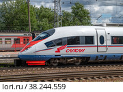 Высокоскоростной поезд "Сапсан" крупным планом. Бологое (2022 год). Редакционное фото, фотограф Анна Карасева / Фотобанк Лори