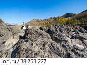 Bridge over the Katun River. Стоковое фото, фотограф Юлия Белоусова / Фотобанк Лори