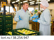 Dissatisfied foreman reprimanding workwoman about quality of apples. Стоковое фото, фотограф Яков Филимонов / Фотобанк Лори