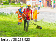 Russia, Samara, June 2021: Forestry workers mow the grass on the lawn along the road. Редакционное фото, фотограф Акиньшин Владимир / Фотобанк Лори