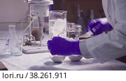 Scientists hands removing the magnet from sachet. Стоковое видео, видеограф Chudakov_Ivan / Фотобанк Лори