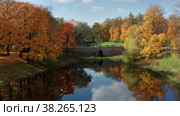 Екатерининский парк (Царское Село). Каскадные пруды. Вид с воздуха. (2021 год). Редакционное видео, видеограф Евгений Романов / Фотобанк Лори