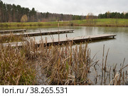 Wooden bridges on pond in autumn Meshchersky natural park, Moscow, Russia (2021 год). Стоковое фото, фотограф Алексей Антипов / Фотобанк Лори