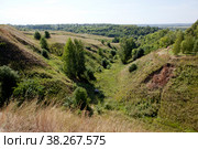 Алатырь-камень на дне оврага, у южных валов городища. Городище Старая Рязань. Спасский район. Рязанская область (2022 год). Стоковое фото, фотограф Сергей Афанасьев / Фотобанк Лори