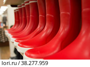 Red rubber boots of different colors on store shelves. Стоковое фото, фотограф Irina Kuchugurina/Gaudy / Фотобанк Лори