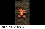 Firewood fire heat heating. Стоковое видео, видеограф Светлана Анисимова / Фотобанк Лори