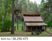 Traditional wooden hut of the 19th century of the Siberian Shor people in the forest (2022 год). Стоковое фото, фотограф Сергей Фролов / Фотобанк Лори