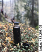 Пикник на природе. Стоковое фото, фотограф Вера ))) / Фотобанк Лори