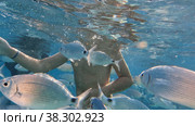 Teenager underwater surrounded by fish. Стоковое видео, видеограф Данил Руденко / Фотобанк Лори