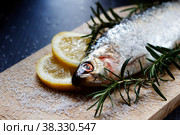 Salted Sea Danube herring with rosemary sprigs, lemon and coarse sea salt. Стоковое фото, фотограф Ирина Кротова / Фотобанк Лори