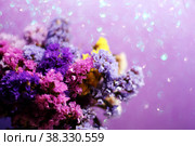 A bouquet of limonium in sun glare. Стоковое фото, фотограф Ирина Кротова / Фотобанк Лори