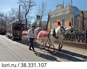 Старинный конный вагон («Конка») едет по Чистопрудному бульвару. Эксплуатация: 1871-1911 гг. Парад трамваев в Москве. Россия. 2015:04:11. Редакционное фото, фотограф Наталья Волкова / Фотобанк Лори