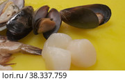 Mollusks, oysters, curves for Japanese cuisine. Стоковое видео, видеограф Aleksey Kidisyuk / Фотобанк Лори