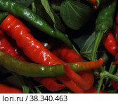 Spicy chili. Astrakhan pepper on a white background. To give taste, sharpness and piquancy to the prepared dish. The ingredient from the recipe. Стоковое фото, фотограф Елена Бобкова / Фотобанк Лори