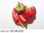Sweet red peppers. An ingredient for cooking culinary dishes. Стоковое фото, фотограф Елена Бобкова / Фотобанк Лори