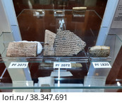 Экспонат в музее Персеполиса (Иран) (2022 год). Редакционное фото, фотограф Максим Гулячик / Фотобанк Лори