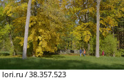 Екатерининский парк (Царское Село). Беседка у Розового поля. Catherine Park (Tsarskoye Selo). Gazebo by the Rose field. (2021 год). Редакционное видео, видеограф Евгений Романов / Фотобанк Лори