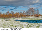 Парк Яблоньки на проспекте Ветеранов. Санкт-Петербург (2012 год). Стоковое фото, фотограф Александр Щепин / Фотобанк Лори