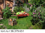 Hobbiton, New Zealand - 15 Dec 2018. Hobbiton is theme Park in New Zealand. Редакционное фото, фотограф Сергей Стрелков / Фотобанк Лори