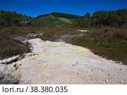 Wai-o-tapu geothermal Park, Rotorua, New Zealand. Стоковое фото, фотограф Сергей Стрелков / Фотобанк Лори