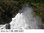 Lady knox geyser in wai-o-tapu thermal park, New Zealand. Стоковое фото, фотограф Сергей Стрелков / Фотобанк Лори